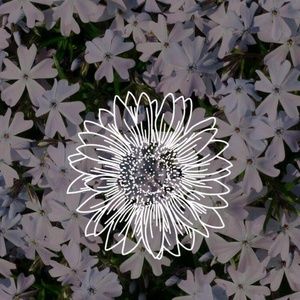 Meet your Posher, Briana